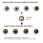 Preview: Effekt der braunen farbigen Kontaktlisen auf unterschiedlichen Augenfarben