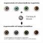 Preview: Effekt der braunen Kontaktlisen auf unterschiedlichen Augenfarben