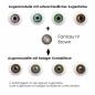 Mobile Preview: Farbige Kontaktlinsen Elena Bellucci Fantasy Series 4 brown Effekt auf 4 verschiedenen Augenfarben
