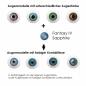 Preview: Farbige Kontaktlinsen Elena Bellucci Fantasy Series 4 Sapphire Effekt auf 4 verschiedenen Augenfarben