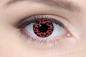 Mobile Preview: Farbige Kontaktlinsen Motivlinsen LIEBEVUE Leopard Muster rot getragen