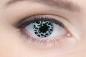 Mobile Preview: Farbige Kontaktlinsen Motivlinsen LIEBEVUE Leopard Muster weiss getragen