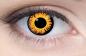 Mobile Preview: Farbige Kontaktlinsen Motivlinsen LIEBEVUE Twilight Bella getragen