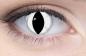 Preview: Farbige Kontaktlinsen Motivlinsen LIEBEVUE Viper weisses Schlangenauge getragen