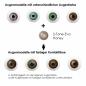 Preview: Farbige Kontaktlinsen LIEBEVUE 2-Tone Eva Honey Effekt auf 4 verschiedenen Augenfarben