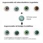 Mobile Preview: Farbige Kontaktlinsen LIEBEVUE 3-Tone Luxus Aqua Effekt auf 4 verschiedenen Augenfarben