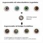 Mobile Preview: Farbige Kontaktlinsen LIEBEVUE 3-Tone Luxus Brown Effekt auf 4 verschiedenen Augenfarben