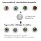 Preview: Farbige Kontaktlinsen LIEBEVUE 3-Tone Luxus Dark Gray Effekt auf 4 verschiedenen Augenfarben