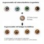 Mobile Preview: Farbige Kontaktlinsen LIEBEVUE 3-Tone Luxus Honey Effekt auf 4 verschiedenen Augenfarben