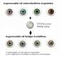 Mobile Preview: Farbige Kontaktlinsen LIEBEVUE 3-Tone Luxus White Gray Effekt auf 4 verschiedenen Augenfarben