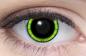 Preview: Farbige Kontaktlinsen Motivlinsen LIEBEVUE Manga Green im Auge getragen