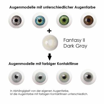 Farbige Kontaktlinsen Elena Bellucci Fantasy Series 2 Dark Gray Effekt auf 4 verschiedenen Augenfarben
