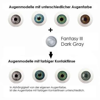 Farbige Kontaktlinsen Elena Bellucci Fantasy Series 3 Dark Gray Effekt auf 4 verschiedenen Augenfarben