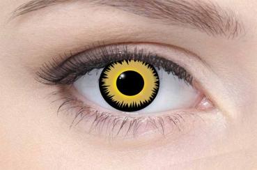 Farbige Kontaktlinsen Motivlinsen LIEBEVUE Werwolf Auge gelb getragen