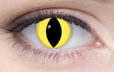 Farbige Kontaktlinsen Motivlinsen LIEBEVUE Cat Eye gelbes Katzenauge getragen