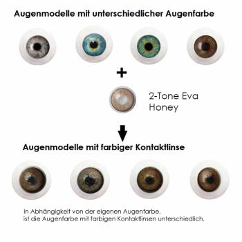 Preview: Liebevue Eva Honey – Braune Farbige Kontaktlinsen ohne Stärke – 3 Monate – 2 Stück Preview: Effekt der honey farbigen Kontaktlisen auf unterschiedlichen Augenfarben