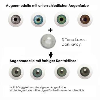 Preview: Liebevue Luxus Dark Gray – Graue Kontaktlinsen mit Stärke – 3 Monate – 2 Stück Preview: Effekt der farbigen Kontaktlisen auf unterschiedlichen Augenfarben