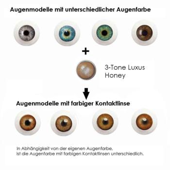 Preview: Liebevue Luxus Honey – Braune Kontaktlinsen – natürlich aussehend – mit und ohne Stärke – 3 Monate – 2 Stück Preview: Effekt der farbigen Kontaktlisen auf unterschiedlichen Augenfarben