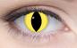 Preview: Coloured contact lenses costume contacts LIEBEVUE yellow cat eye worn in the eye