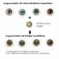 Mobile Preview: Effect of coloured contact lenses on different eye colors