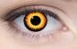 Mobile Preview: Coloured contact lenses costume contacts LIEBEVUE Orange Werewolf eye worn in the eye