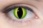 Mobile Preview: Coloured contact lenses costume contacts LIEBEVUE Anaconda green snake eye worn in the eye