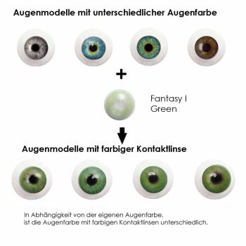 Preview: Elena Bellucci Fantasy I Green – Coloured Contact Lenses without power – 3 Months – 2 Lenses Preview: Effect of green coloured contact lenses on different eye colors