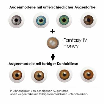 Coloured contact lenses Elena Bellucci Fantasy Series 4 honey effect on 4 different eye colours