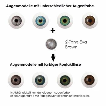 Preview: Liebevue Eva Brown – Coloured Contact Lenses without power – 3 Months – 2 Lenses Preview: Effect of coloured contact lenses on different eye colors