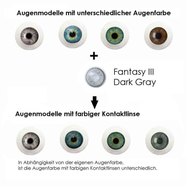 Coloured contact lenses Elena Bellucci Fantasy Series 3 Dark Gray effect on 4 different eye colours