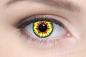 Preview: Coloured contact lenses costume contacts LIEBEVUE Delirious worn in the eye