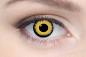 Preview: Coloured contact lenses costume contacts LIEBEVUE Yellow Werewolf eye worn in the eye